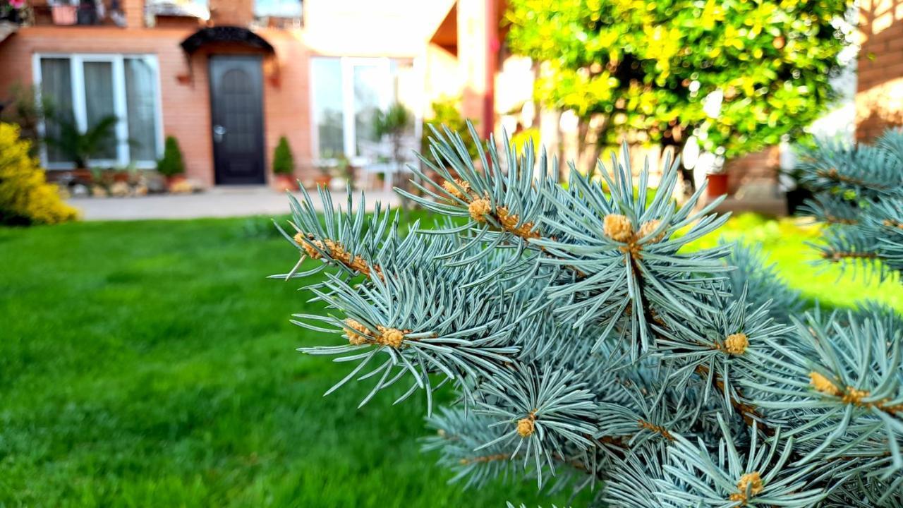 Green Garden Tbilisi Bagian luar foto