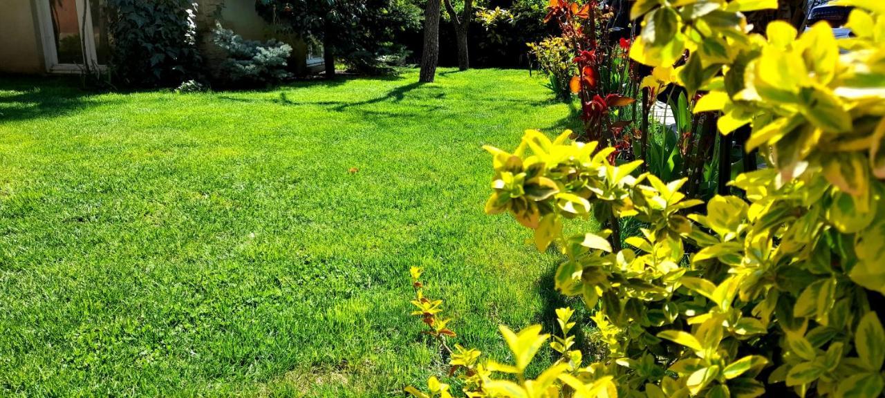 Green Garden Tbilisi Bagian luar foto